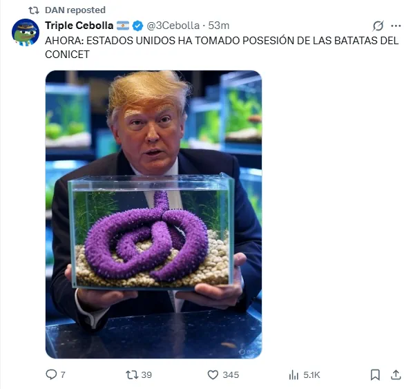 gordo dan 2