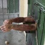 El Comíte contra la Tortura de la ONU condenó a la Argentina